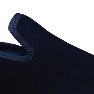 Plain Albert